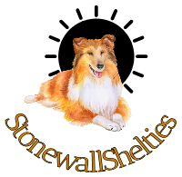 Stonewall Sheltie Puppy Home